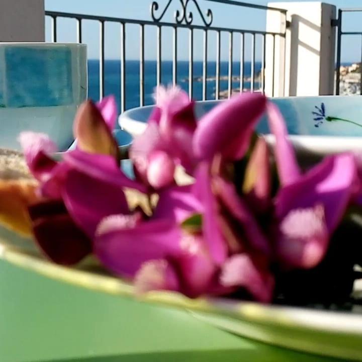 Agriturismo La Tuffatrice Imperia Eksteriør bilde
