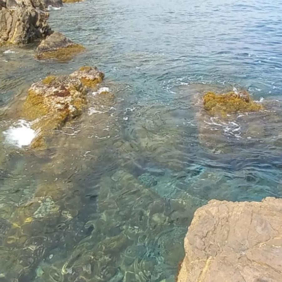 Agriturismo La Tuffatrice Imperia Eksteriør bilde
