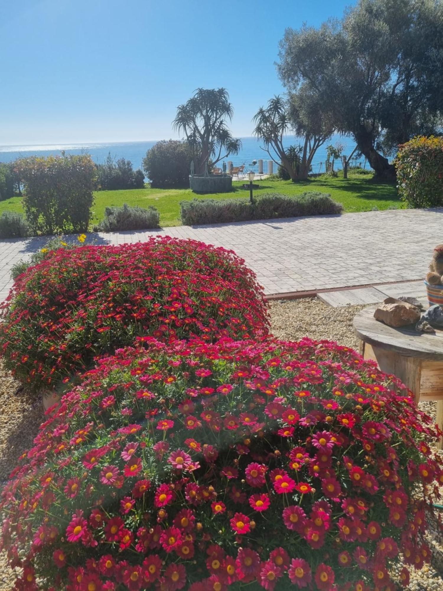 Agriturismo La Tuffatrice Imperia Rom bilde