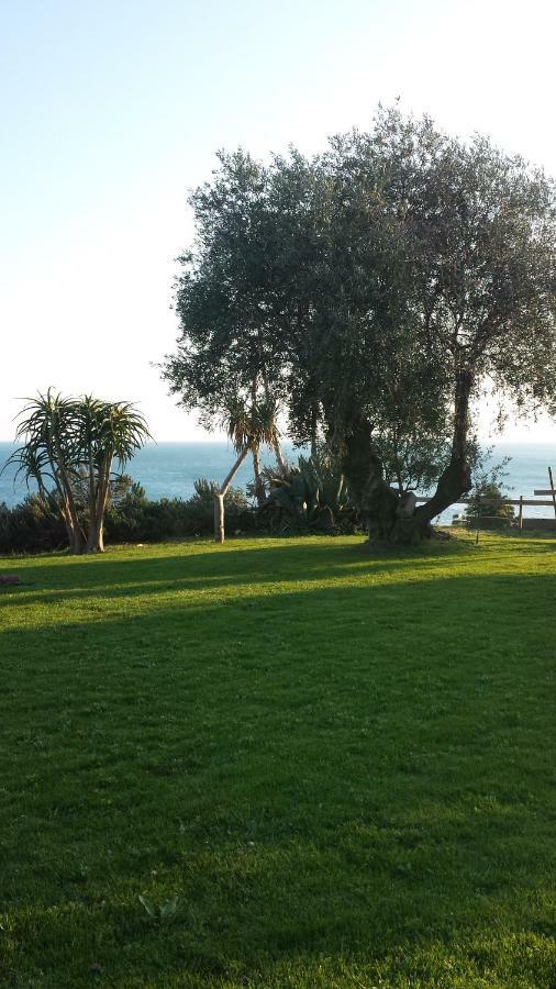 Agriturismo La Tuffatrice Imperia Eksteriør bilde